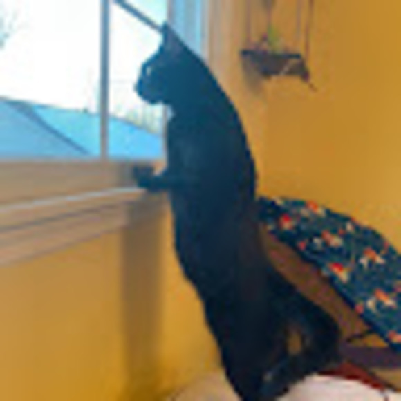 Meet your Posher, Marissa - Picture 1 of 1